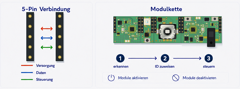 5-Pin-Verbindung, Modulkette und automatische Erkennung